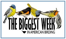 Select Biggest Week in American Birding