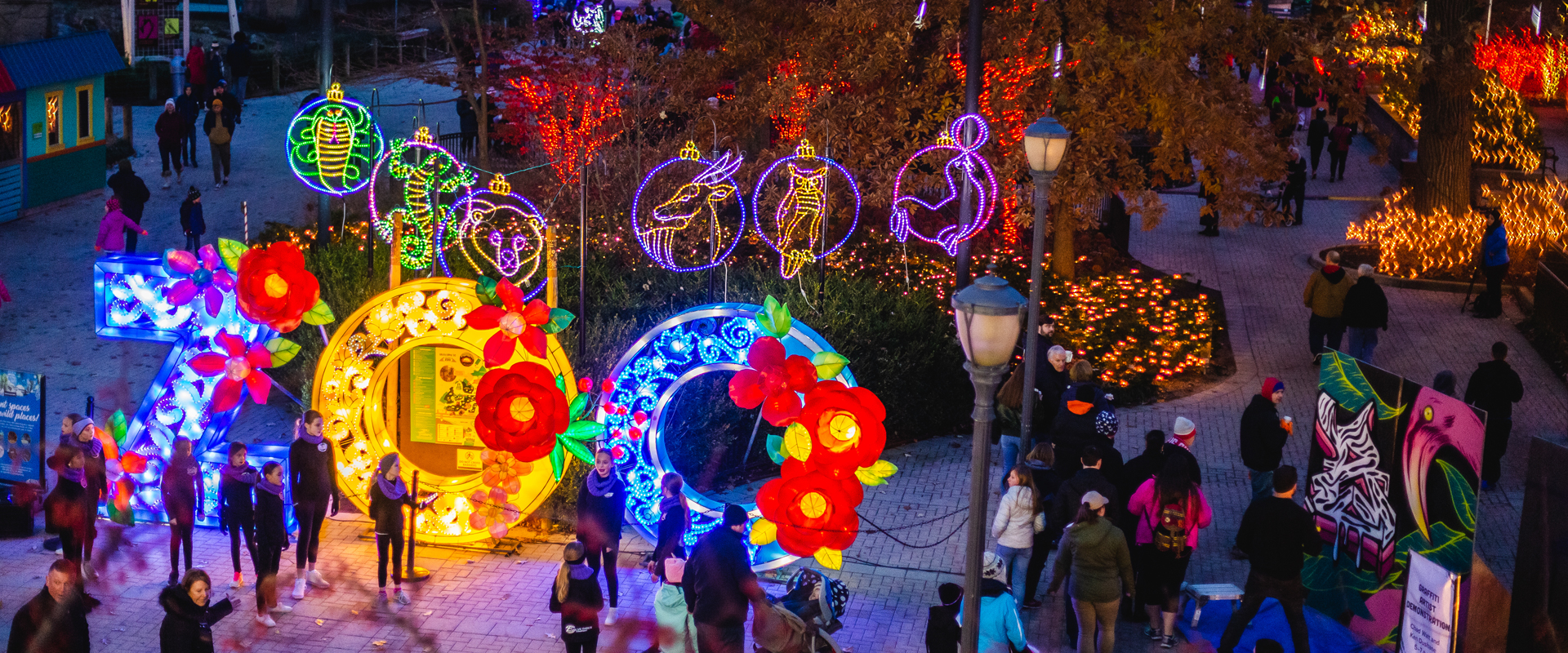 Toledo Zoo Lights Before Christmas 