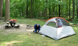 Select https://metroparkstoledo.com/outdoor-adventures/camping/