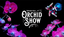 Select Orchid Show