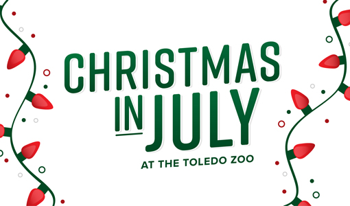 Christmas in July at the Toledo Zoo