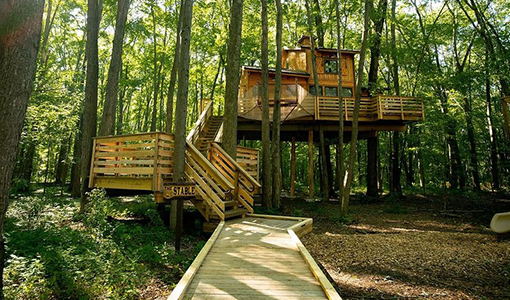 Cannaley Treehouse Tours