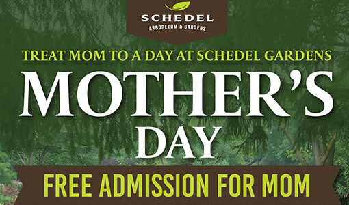 Mother's Day at Schedel Gardens