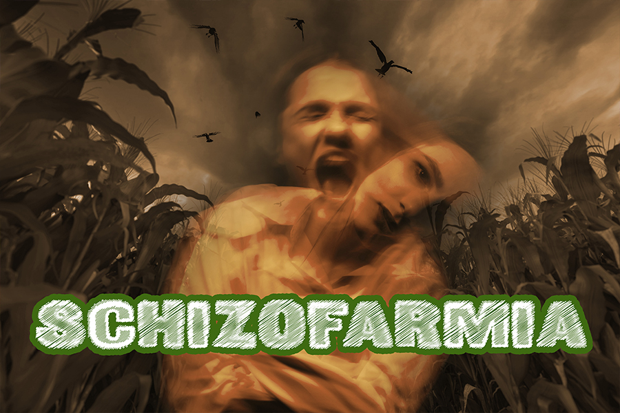 Field of Fear Haunted Corn Maze