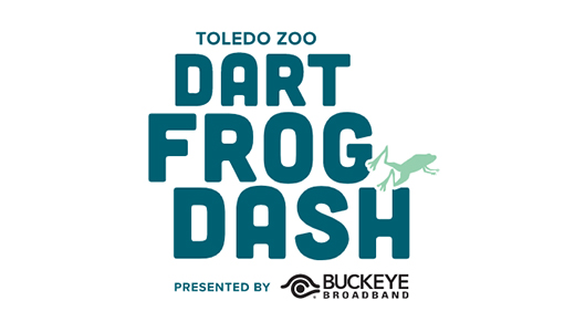 Dart Frog Dash