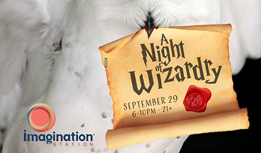 Science After Dark: A Night of Wizardry