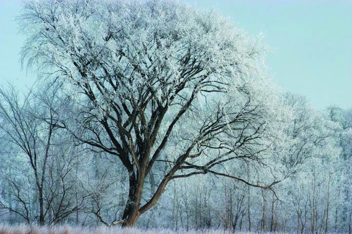 Uncork & Unwind: Winter Landscapes