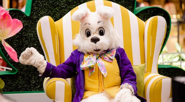 Visit the Easter Bunny at Franklin Park Mall