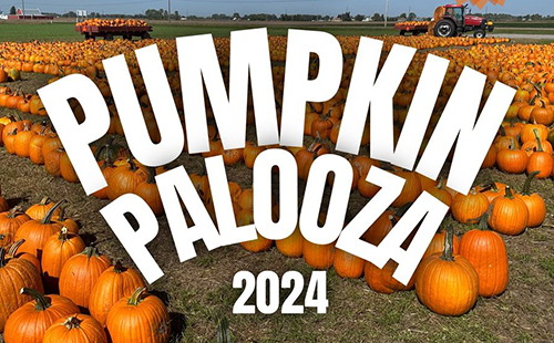 Pumpkin Palooza