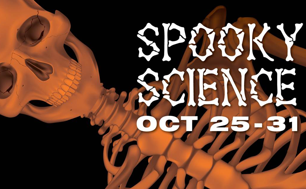 Spooky Science at Imagination Station