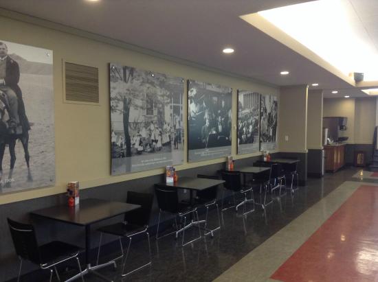 Museum Cafe