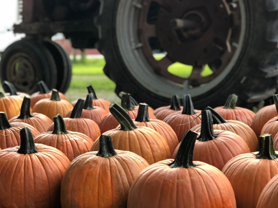 Fleitz Pumpkin Farm