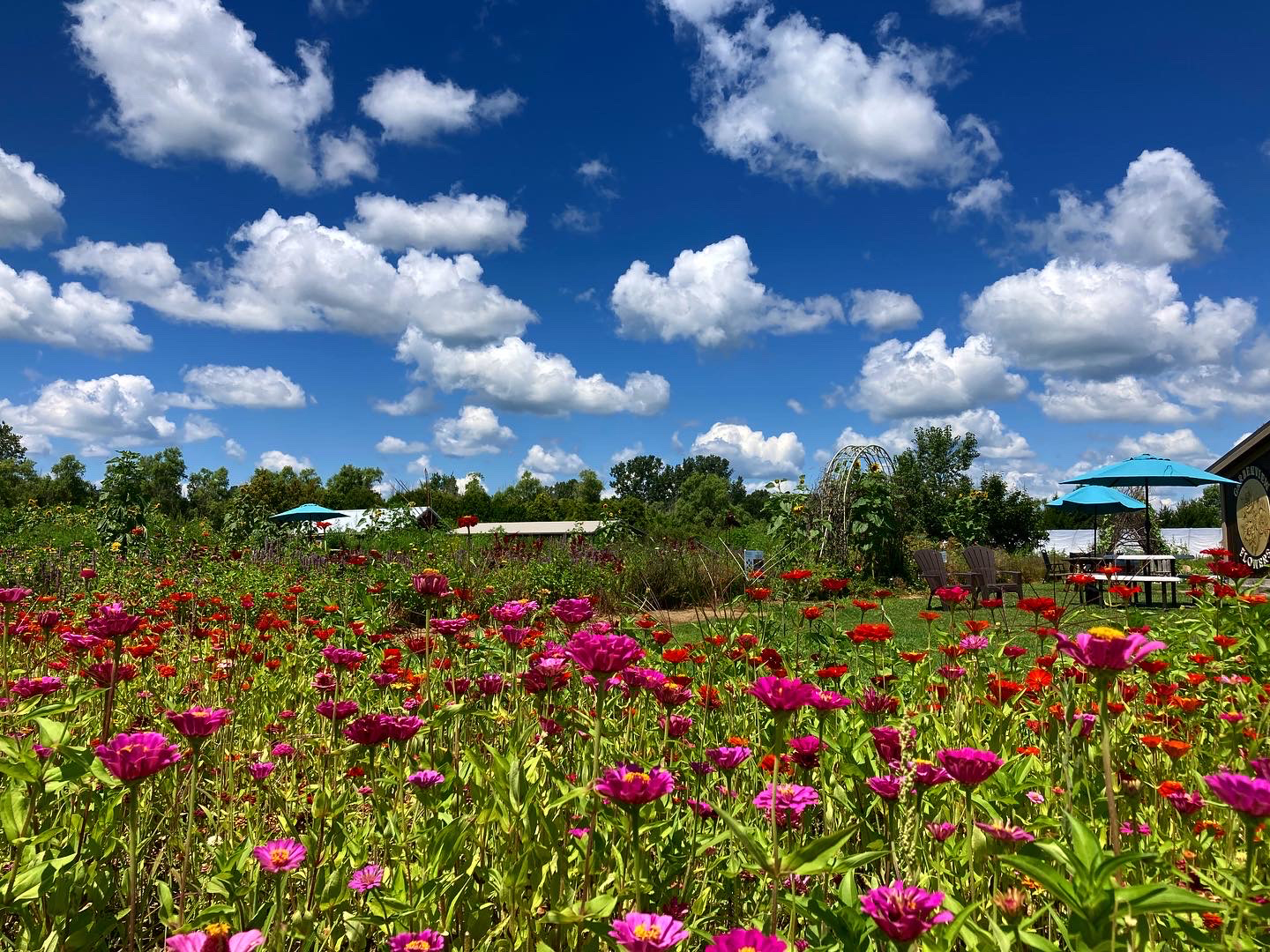 GardenView Flowers