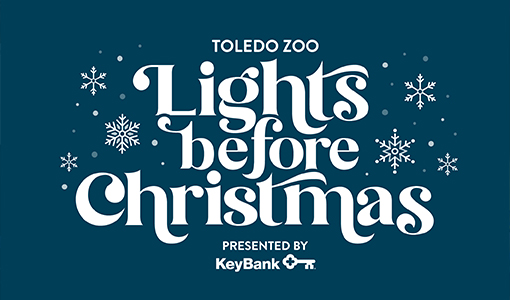 Lights before Christmas