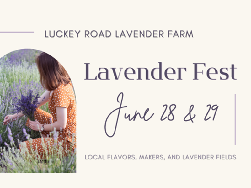 Lavender Fest at Luckey Road Lavender Farm