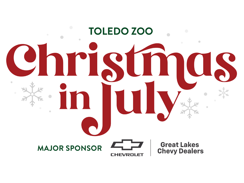 Toledo Zoo Christmas in July