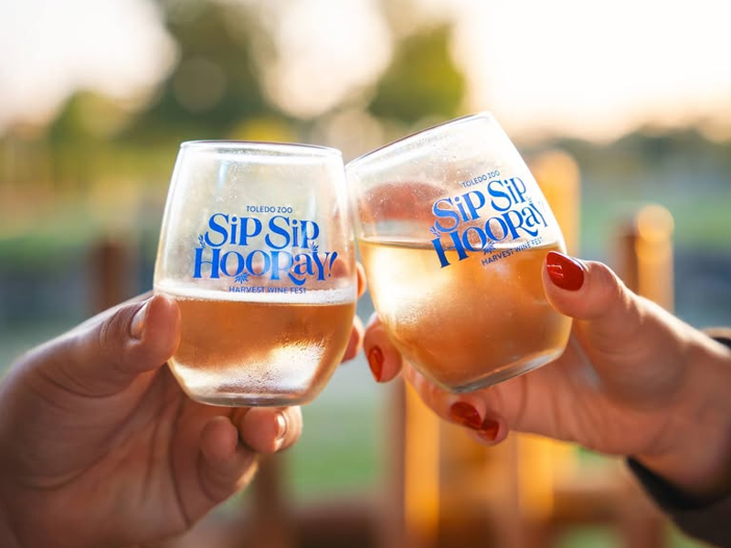 Sip Sip Hooray! Harvest Wine Fest
