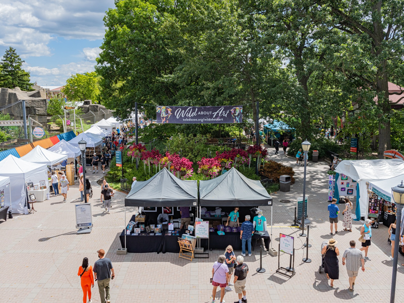 zoo art fair 4×3 event image