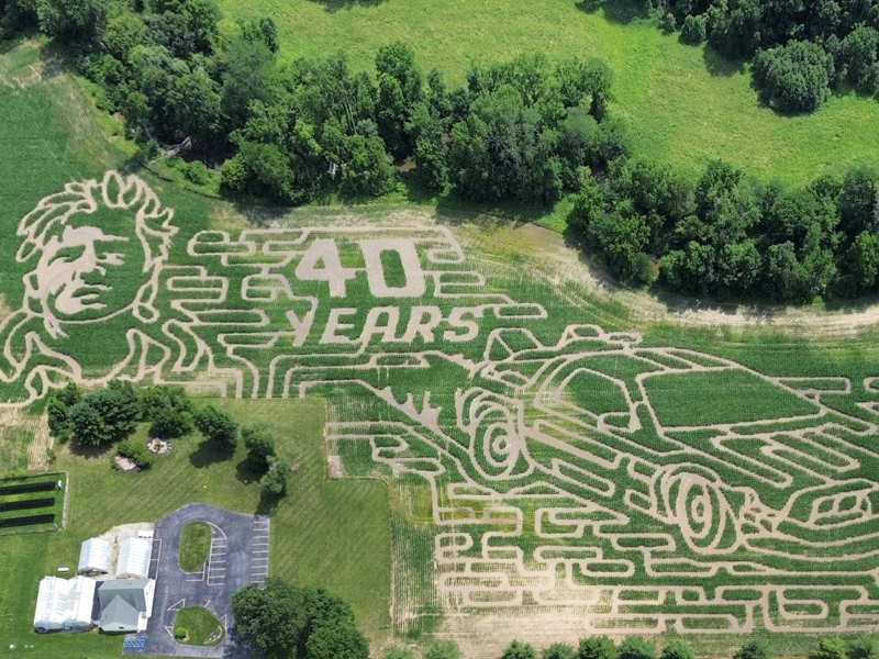 corn maze wheeler farms 4×3 event image