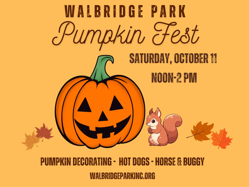 walbridge park pumpkin 4×3 event image