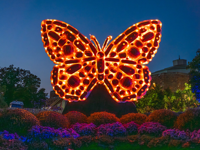 toledo zoo harvest fest 4×3 event image
