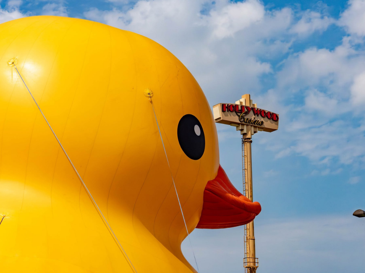World’s Largest Rubber Duck at Hollywood Casino