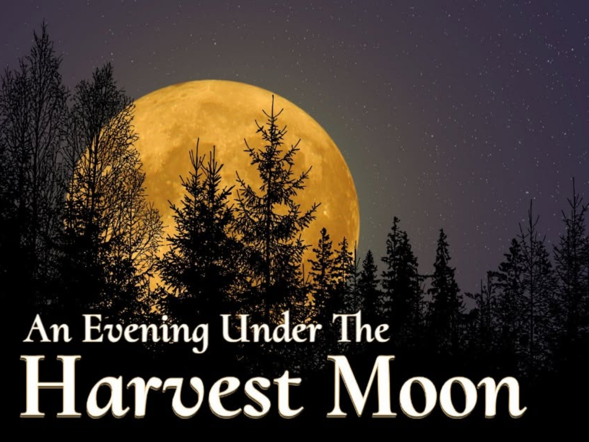 577 After Hours: An Evening Under the Harvest Moon